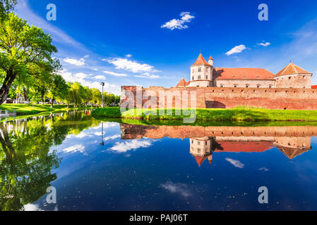 Fagaras, Rumänien. Frühling grün Blüte Landschaft mit Fagaras Festung, Siebenbürgen. Stockfoto