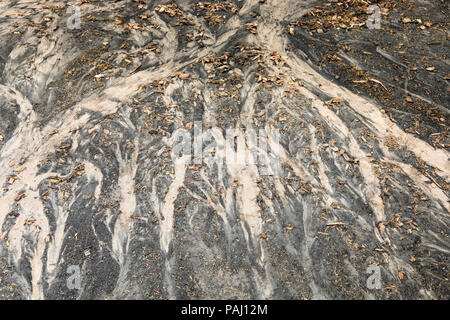 Flugasche Muster während der Regen und Wasser Stockfoto