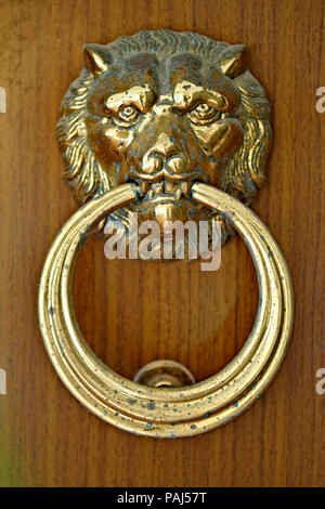 Lion's Head und Ring knockdoor auf hölzernen Tür, geringe Tiefe des Feldes Stockfoto