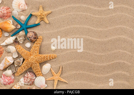 Ansicht von oben Sanddünen mit Muscheln und Seesterne als leer, Hintergrund. Muscheln und Seesterne. Stockfoto