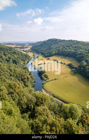 Ein Blick über den Fluss Wye an Symonds Yat Rock, Herefordshire, England, UK. Stockfoto