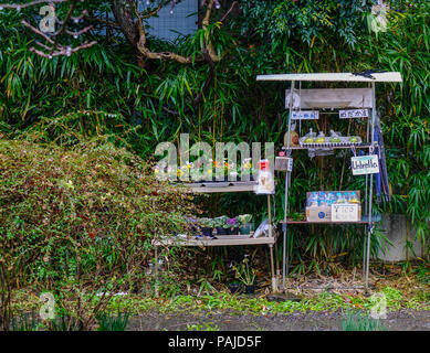 Kyoto, Japan - 19.November 2016. Self-service Store auf Philosophen Weg an regnerischen Tag in Kyoto, Japan. Stockfoto