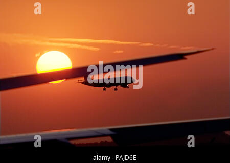 A320-Landung im Sonnenuntergang hinter der horizontalen - Stabilisator eines A330 bei Sonnenuntergang Stockfoto