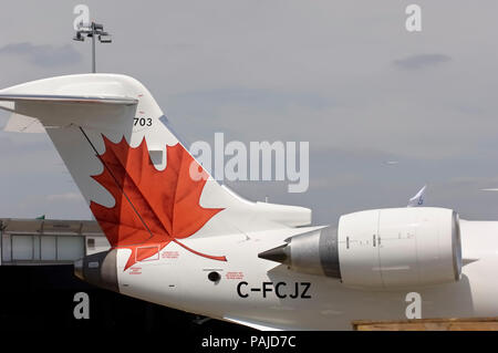 Schwanz mit maple leaf Logo und Motor an den 2005 Paris AirShow, Salon-du-Lac du Bourget Stockfoto