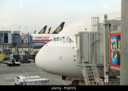 Nase von Singapore Airlines Airbus A380-800 mit jetway befestigt und Schwanz-flossen der Boeing 777 s hinter geparkt Stockfoto