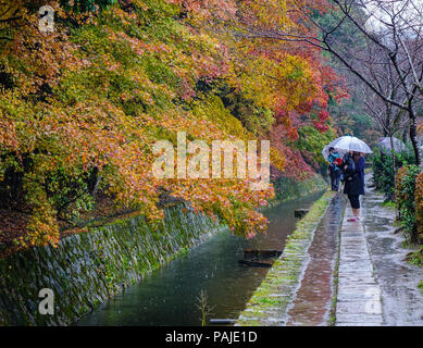 Kyoto, Japan - 19.November 2016. Menschen mit Sonnenschirmen zu Fuß auf Philosophen Weg an regnerischen Tag in Kyoto, Japan. Stockfoto