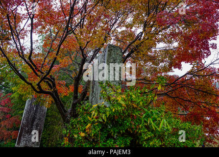 Kyoto, Japan - 19.November 2016. Stein mit Herbst Bäume auf Philosophen Weg an regnerischen Tag in Kyoto, Japan. Stockfoto