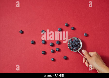 Frauen Hand hält eine mit fettaufsaugendem rote reife süße Blueberry auf rotem Papier Hintergrund. Stockfoto