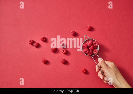 Frauen Hand hält eine mit fettaufsaugendem rote reife süße Himbeere auf rotem Papier mit kopieren. Organische Beeren Muster. Stockfoto