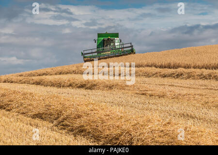 Großbritannien Landwirtschaft, ein John Deere Hillmaster Mähdrescher bei der Arbeit auf einem wintergerste Ernte Stockfoto
