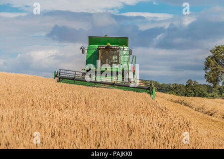 Großbritannien Landwirtschaft, ein John Deere Hillmaster Mähdrescher bei der Arbeit auf einem wintergerste Ernte Stockfoto