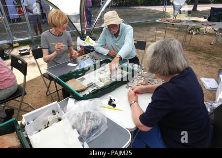 Archäologische Grabung in Priory Park in Chichester, West Sussex, UK. Stockfoto