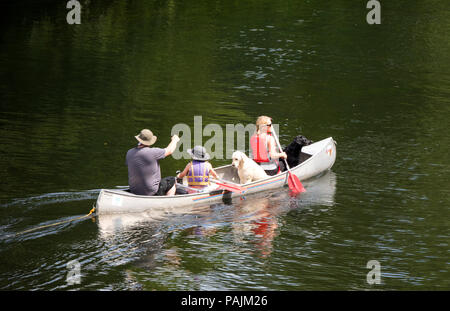 Familie Kanu mit Haustier Hunde auf den Fluss Wye, Herefordshire, England, Großbritannien Stockfoto