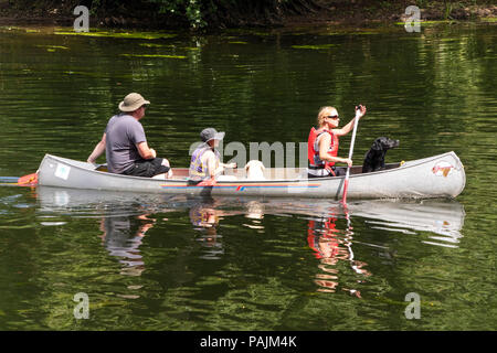 Familie Kanu mit Haustier Hunde auf den Fluss Wye, Herefordshire, England, Großbritannien Stockfoto