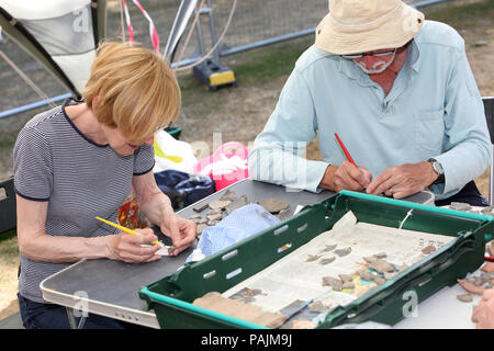 Archäologische Grabung in Priory Park in Chichester, West Sussex, UK. Stockfoto