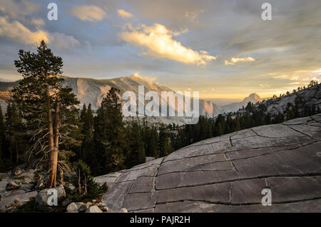 Blick aus Olmsted Point im Yosemite National Park Stockfoto