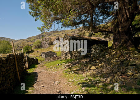 Steinscheune Farmgebäude neben Wanderweg im Frühjahr Easedale Cumbria Lake District National Park England Vereinigtes Königreich GB Großbritannien Stockfoto