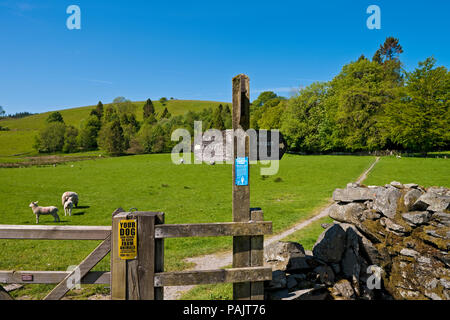 Nahaufnahme der öffentlichen Holzpfadschilder im Frühjahr in der Nähe des Hawkshead Lake District National Park Cumbria England Großbritannien GB Großbritannien Stockfoto