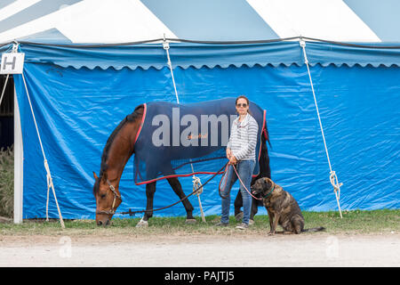 Frau mit einer Leine mit Hund und halten Sie die Zügel eines Pferdes Stockfoto