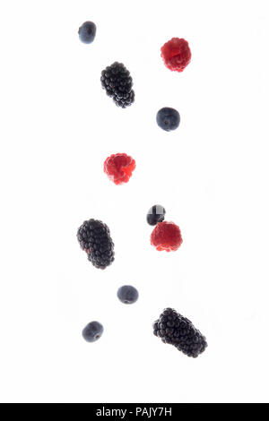 Flying Black, Himbeere und Heidelbeere Obst auf weißem Hintergrund Stockfoto