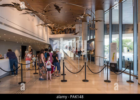 Israel, Ramat Aviv - vom 20. Juli 2018: Steinhardt, Museum der Naturgeschichte, Universität Tel Aviv, Stockfoto