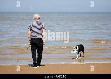 Coatal Prestatyn Seaside Resort Stadt Denbighshire, Wales. Historisch Flintshire, ein Hund, Verriegelung mit Frisbee auf zentralen Buche Stockfoto