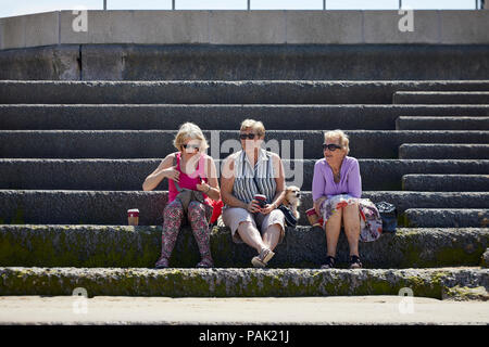 Coatal Prestatyn Seaside Resort Stadt Denbighshire, Wales. Historisch Flintshire, zentrale Buche oap Damen ruht auf dem Meer Pause wand Verteidigung Stockfoto