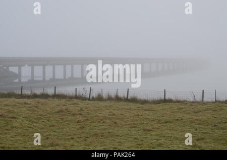 Eine Ansicht eines Multi span Straße Brücke in den Nebel verschwinden, am Cromarty Firth, Schottland, Großbritannien Stockfoto