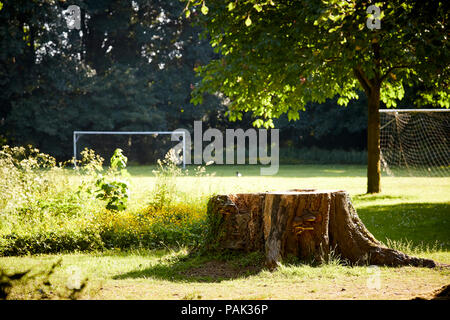 Chelford Gemeinde in Cheshire, England, die bloße Erholungsgebiet im Dorf Stockfoto