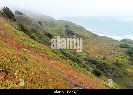 Foggy Mittagsblume Dünen mit Blick auf den Pazifischen Ozean. Stockfoto