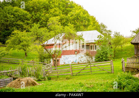 Altes Haus in einer ländlichen transsilvanischen Dorf in Rumänien mit frischem grünem Gras und einem Wald auf der Rückseite Stockfoto