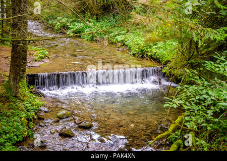 Bachlauf mit sauberem Wasser in einer frischen, grünen unberührten Wald irgendwo in Rumänien Stockfoto