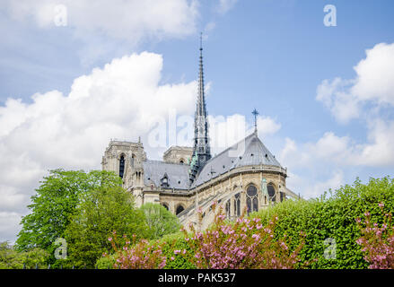 Notre Dame de Paris Dom Blick auf den Osten und Süden Fassaden mit wunderschönen Blumen und Bäumen auf einer sonnigen spirng Tag in dieser wundervollen Europäischen cit Stockfoto