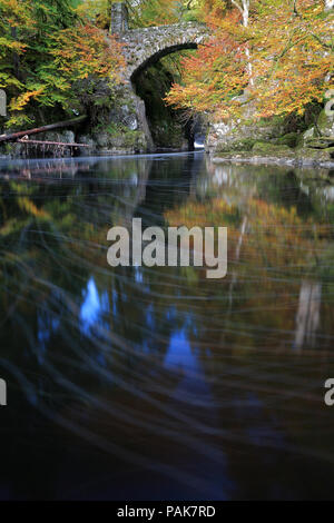 Fluss Braan durch die Hermitage im Herbst Stockfoto