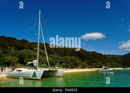 Segeln charter yacht auf einem goldenen Sandstrand im Abel Tasman National Park, Neuseeland Stockfoto
