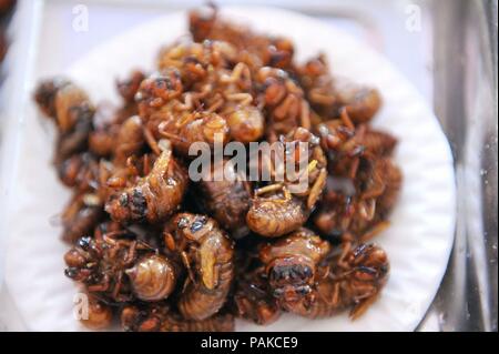 China. 24. Juli, 2018. Qingdao, China - Gebratene Insekten einschließlich der Scorpions, Tausendfüßler und Heuschrecken auf der 28. Internationalen Qingdao Bierfest in Qingdao gesehen werden kann, der ostchinesischen Provinz Shandong. Gebratene Insekten sind beliebte Snacks in China obwohl die Nahrung suchen furchtsam. Credit: SIPA Asien/ZUMA Draht/Alamy leben Nachrichten Stockfoto