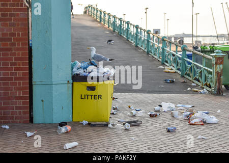 Brighton UK 24. Juli 2018 - eine Möwe raids einem Abfallbehälter auf Reste der Nacht in Brighton Seafront, als die Hitzewelle in einigen Teilen von Großbritannien mit einem gelben Warnung ausgegeben, und die Menschen geraten, aus der Sonne während der heißesten Teile des Tages: Simon Dack/Alamy Leben Nachrichten zu bleiben weiterhin Stockfoto