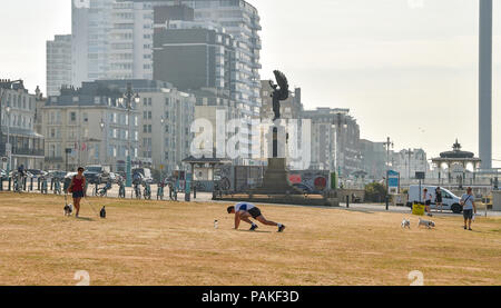 Brighton UK 24. Juli 2018 - Hove Rasen sieht aus gerösteten in Brighton heute morgen als die Hitzewelle in einigen Teilen von Großbritannien mit einem gelben Warnung ausgegeben, und die Menschen geraten, aus der Sonne während der heißesten Teile des Tages: Simon Dack/Alamy Leben Nachrichten zu bleiben weiterhin Stockfoto