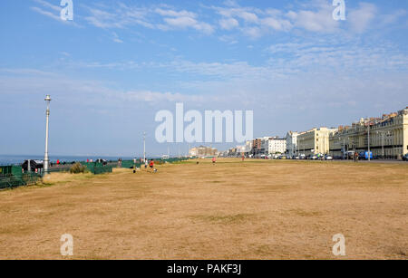 Brighton UK 24. Juli 2018 - Hove Rasen sieht aus gerösteten in Brighton heute morgen als die Hitzewelle in einigen Teilen von Großbritannien mit einem gelben Warnung ausgegeben, und die Menschen geraten, aus der Sonne während der heißesten Teile des Tages: Simon Dack/Alamy Leben Nachrichten zu bleiben weiterhin Stockfoto
