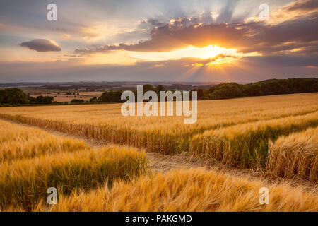 Saxby Allerheiligen, North Lincolnshire, Großbritannien. 23. Juli 2018. UK Wetter: Die Sonne bricht durch die Wolken über dem Ancholme Tal kurz vor Sonnenuntergang auf einem anderen heißen Sommertag. Saxby Allerheiligen, North Lincolnshire, Großbritannien. 23. Juli 2018. Quelle: LEE BEEL/Alamy leben Nachrichten Stockfoto