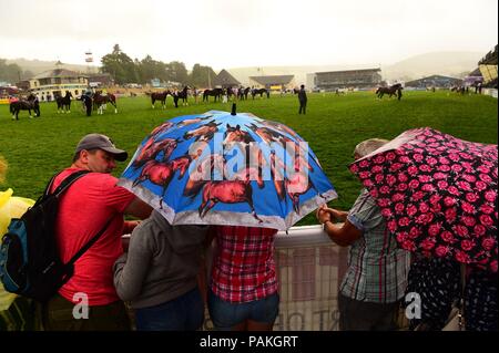 Builth Wells Wales UK, Dienstag, 24. Juli 2018 UK Wetter: Menschen Zuflucht vor dem Regen auf der Royal Welsh Show, führenden landwirtschaftlichen Veranstaltung Foto © der britischen Keith Morris/Alamy leben Nachrichten Stockfoto