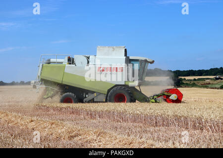 Chessington Surrey England UK. 24. Juli 2018. UK Wetter: das Einbringen der Ernte an einem perfekten Sommer. Der Mähdrescher durch den goldenen Weizen unter blauem Himmel in Chessington, Surrey schneiden. Credit: Julia Gavin/Alamy leben Nachrichten Stockfoto