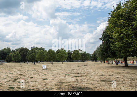 London, Großbritannien. 24. Juli, 2018. London erhält eine Atempause mit einigen Cloud, aber immer noch kein Regen im Süden Londons, wo das Gras in Burgess Park mehr wie Sand sieht. David Rowe/Alamy Leben Nachrichten. Stockfoto