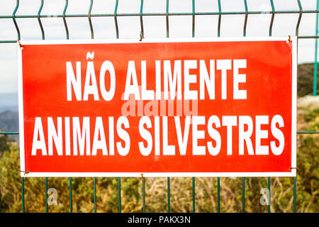 Zeichen in Portugiesisch geschriebene Warnung, keine wilden Tiere füttern. Bom Jardim Da Serra, Santa Catarina, Brasilien. Stockfoto