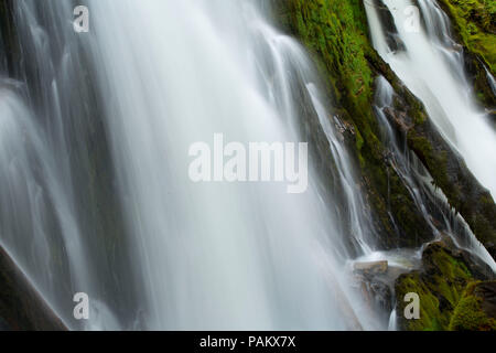 Nationalen Creek Falls, Rogue River National Forest, Oregon Stockfoto