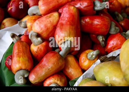 Frische cashew Frucht wth Mutter befestigt Stockfoto