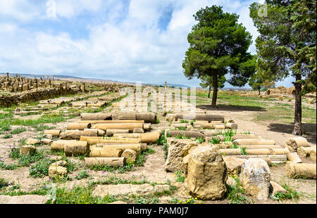 Timgad, Ruinen einer Stadt Roman-Berber in Algerien. Stockfoto