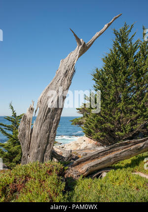 Pescadero Punkt, CA Stockfoto