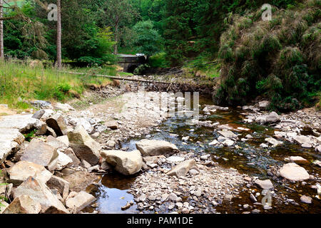 Ausgetrockneten Flussbett in der oberen Derwent Valley im Peak District, Derbyshire im Juli 2018 Stockfoto