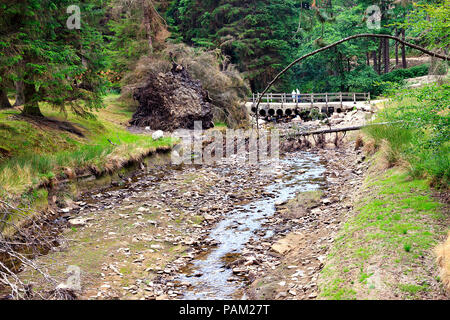 Ausgetrockneten Flussbett in der oberen Derwent Valley im Peak District, Derbyshire im Juli 2018 Stockfoto